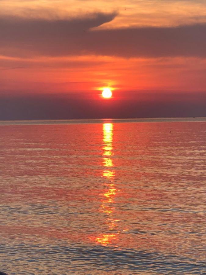 Cabana In Zweedorf An Der Ostsee Daire Dış mekan fotoğraf